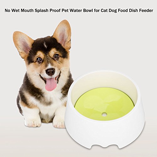 Haustier-Trinknapf, Mehrzweck-Futternapf für Kleine Hunde und Katzen, Haustier-Wassernapf, kein Spritzwasserschutz für Kleine Hunde und Katzen Haustier-Trinknapf, Mehrzweck-Futternapf für Kleine Hunde und Katzen, Haustier-Wassernapf, kein Spritzwasserschutz für Kleine Hunde und Katzen von Qcwwy