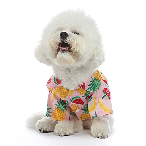 Qcwwy Hunde-Shirts, Sommer, Stilvoller Fruchtdruck, Atmungsaktiv, Cool, Haustier-Sommer-T-Shirts, Welpen-Shirts, Hunde-Sweatshirt, Hunde-Sommer-Outfit für Kleine, Mittelgroße Hunde (M) von Qcwwy