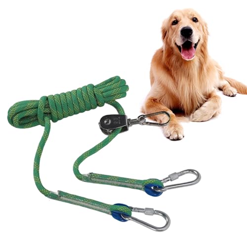 Qcwwy Hundeleine, 5 M, Nylon-Traktionsseil für Hunde, Trainingsleine für Hunde, Traktionsgürtel für den Außenbereich, Anti-Flucht-Hund, Reflektierendes Sicherheitsseil für Hundeübungen Qcwwy Hundeleine, 5 M, Nylon-Traktionsseil für Hunde, Trainingsleine für Hunde, Traktionsgürtel für den Außenbereich, Anti-Flucht-Hund, Reflektierendes Sicherheitsseil für Hundeübungen von Qcwwy