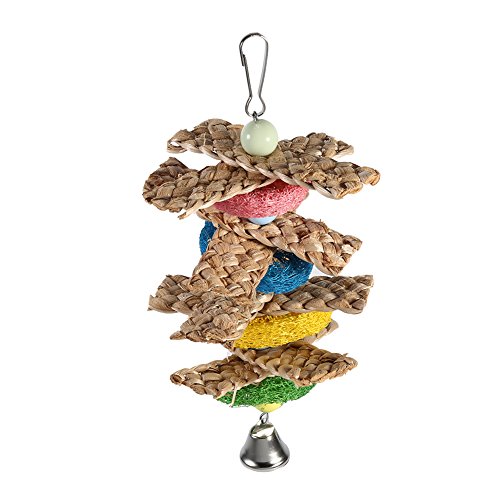 Käfigschaukel Kauspielzeug für kleine Sittiche Nymphensittiche Sittiche Sittiche Aras Papageien Finken Haustier Vögel Luffa Vogel Spielzeug Hängende Haustier Vogel für Kleine Sittiche Nymphensittiche Käfigschaukel Kauspielzeug für kleine Sittiche Nymphensittiche Sittiche Sittiche Aras Papageien Finken Haustier Vögel Luffa Vogel Spielzeug Hängende Haustier Vogel für Kleine Sittiche Nymphensittiche von Qcwwy