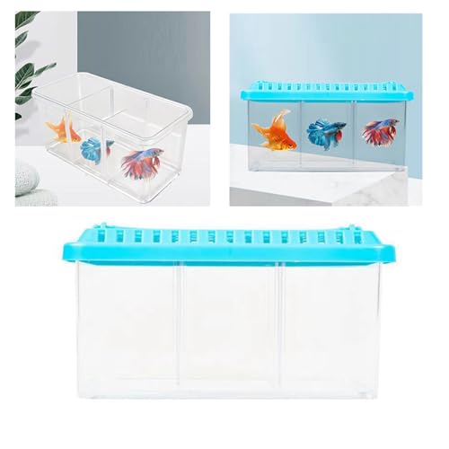 Qcwwy Kleines Betta-Aquarium, Kleines Aquarium, Dekoratives, Transparentes Desktop-Aquarium, Abnehmbares 3-Bereiche-Acryl-Mini-Aquarium für Betta-Nano-Goldfische, Schneckengarnelen von Qcwwy