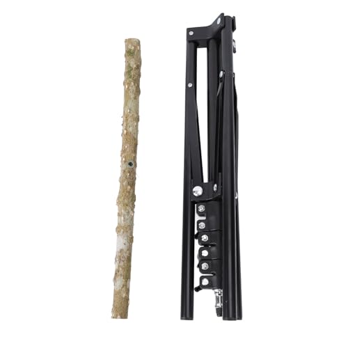 Papagei Barsch Stand, Holzbau Vogel Training Barsch Stand Exquisite Handwerks Kunst Vogelst änder Spielzeug und Ruheplatz Papagei Barsch Stand mit Höhen Verstellbarem Stativ von Qcwwy