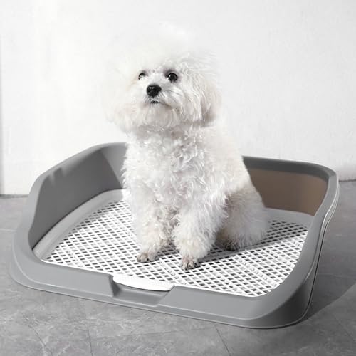 Pee -Pad -Halter für Hunde, Innenhunde Töpfchenschale Tragbare Multifunktionale Haustier -Mesh -Welpen -Trainingspadhalter Badezimmer Hündungskiste mit Wand für Kleines Tier (Gray) von Qcwwy