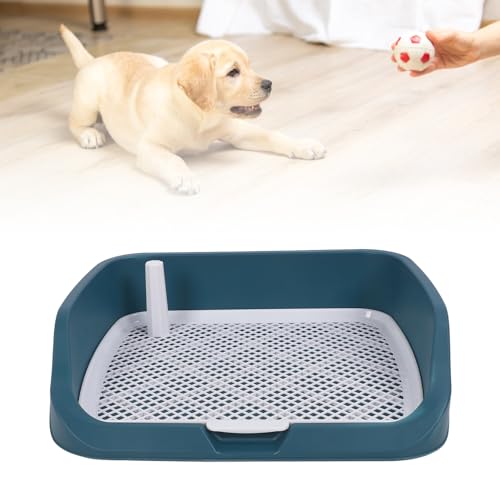 Pee -Pad -Halter für Hunde, Innenhunde Töpfchenschale Tragbare Multifunktionale Haustier -Mesh -Welpen -Trainingspadhalter Badezimmer Hündungskiste mit Wand für Kleines Tier Pee -Pad -Halter für Hunde, Innenhunde Töpfchenschale Tragbare Multifunktionale Haustier -Mesh -Welpen -Trainingspadhalter Badezimmer Hündungskiste mit Wand für Kleines Tier von Qcwwy