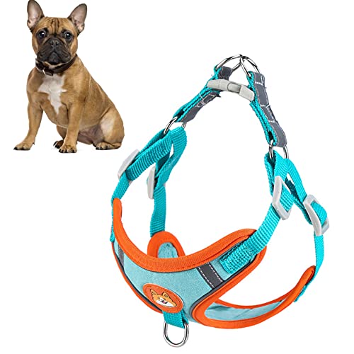 Pet Harness Leine, Verstellbares Hundegeschirr mit Leine Set Reflektierende Streifen Atmungsaktive Hundeweste Leine Set für Kleine, Mittelgroße Hunde (Blauer See) von Qcwwy