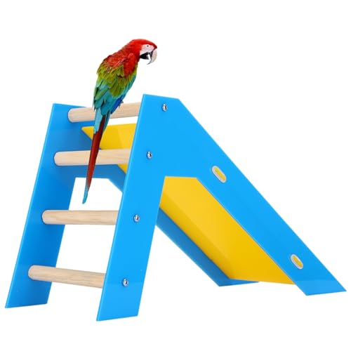 Produkte für das Vogeltraining, Trainingsrutsche, Kletterrutsche aus Holz für Papageien, Treppen für Treppen, Rutschen für das Training von Vögeln Produkte für das Vogeltraining, Trainingsrutsche, Kletterrutsche aus Holz für Papageien, Treppen für Treppen, Rutschen für das Training von Vögeln von Qcwwy