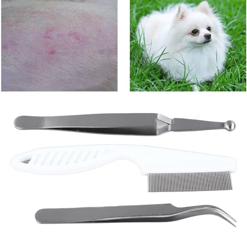 Qcwwy 3-teiliges Haustierpflege-Set, Reptilien-Futterpinzette, Edelstahl-Hundekamm-Clips-Set mit Aufbewahrungskoffer, Bequem zu Handhaben, Werkzeug Zum Entfernen der (Kreuzclip, Qcwwy 3-teiliges Haustierpflege-Set, Reptilien-Futterpinzette, Edelstahl-Hundekamm-Clips-Set mit Aufbewahrungskoffer, Bequem zu Handhaben, Werkzeug Zum Entfernen der (Kreuzclip, von Qcwwy