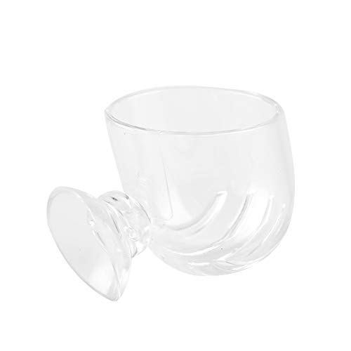 Qcwwy Acrylfisch -Fütterungstasse Lobeles Loch Design für Aquarium, Transparent Glass Feeder Cup für Süßwasser und Salzwasserfisch von Qcwwy
