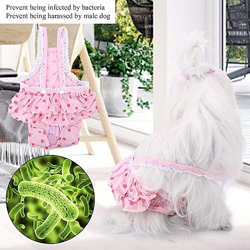 Qcwwy Atmungsbedeckte Baumwollpunkte für Haustierbaumstangen -Designhosen und EIN Kleiner Welpe für Hunde (M) von Qcwwy