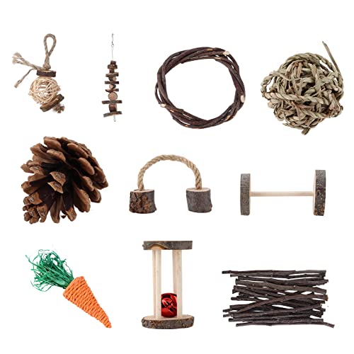 Qcwwy Haustiere Kauspielzeug, Welpen Kauspielzeug Little Pets Kauspielzeug Set Ratten Chinchillas Spielzeug Kleintier Molaren Spielzeug für Hamster Meerschweinchen von Qcwwy