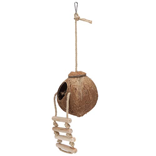 Qcwwy Haustiere Kokosnusshaus mit Leiter für Papageien und Hängematten, Sicheres Vogelschwungspielzeug für Vogelkäfigdekor, 5,1 Zoll Kokosnussschalendurchmesser, Geeignet für und Kleine Haustiere (#1) von Qcwwy