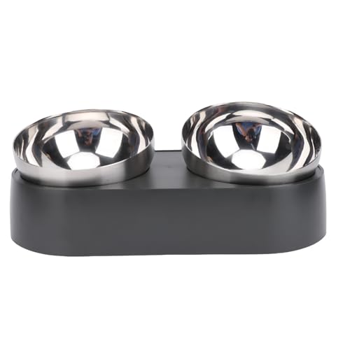 Qcwwy Hochgezogene Hunde Katzenfutterschale, Dual Bowl Design Anti -Slip -Edelstahl Erhöhter Haustier Wasserfutter Schüssel Set Haustier Essen Trinkschale Haustier Fütterungswässerung von Qcwwy