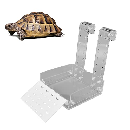 Qcwwy Hochwertige Schildkröten-Aalplattform aus Acryl mit Multifunktionaler Nutzung, Einfache Installation, Verstellbarer Haken für Kleine Reptilienschildkrötenfrösche, Transparentes von Qcwwy