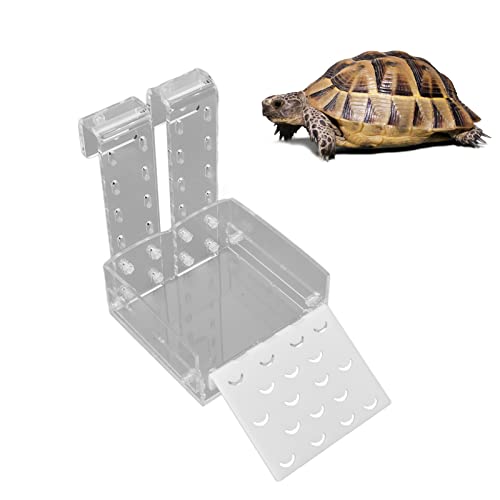 Qcwwy Hochwertige Schildkröten-Aalplattform aus Acryl mit Multifunktionaler Nutzung, Einfache Installation, Verstellbarer Haken für Kleine Reptilienschildkrötenfrösche, Transparentes von Qcwwy