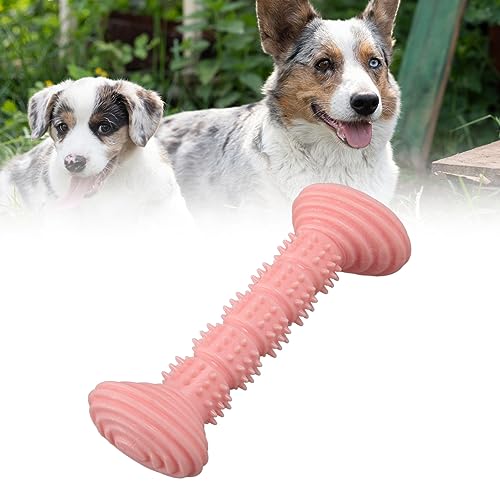 Qcwwy Hunde-Kauspielzeug, Gummi-Hundespielzeug für Aggressive Kauer, Niedliche Knochenform, Zähne Reinigen und Schleifen, Weiches Zahnen-Kauspielzeug für Welpen, Gummi-Hundeknochen für von Qcwwy