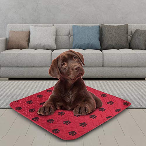 Qcwwy Hunde-PIPI-Matten, Starke Saugfähigkeit, Hunde-Trainingspads, Maschinenwaschbar, Trocknergeeignet, Niedrige Hunde-PIPI-Pads, Schönes Pfotenmuster-Design, wasserdichte (Rot) von Qcwwy