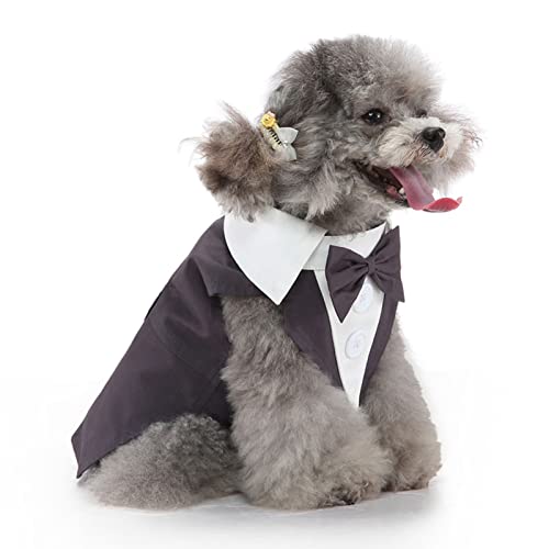 Qcwwy Hunde-Smoking-Hochzeitsanzug, Hundehemd, Welpe, Haustier, Kleiner Hund, Formelle Kleidung für Hunde, Klassischer Smoking-Stil, Hundefliege, Anzug für Hochzeitsfeier (S) von Qcwwy
