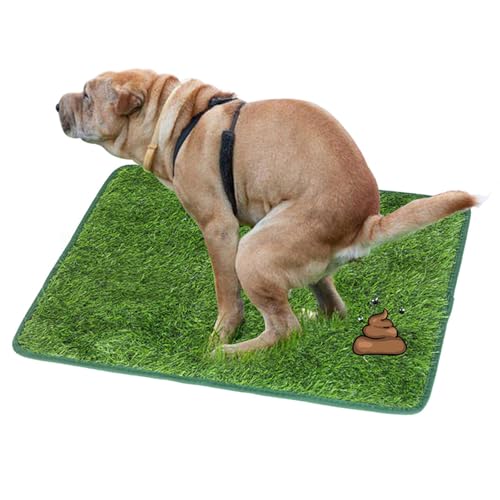 Qcwwy Hundegras-PIPI-Pads, Kunstrasen-Teppich, Rasen für Welpen-Töpfchen-Training, Waschbare Grasmatte, Pee Grass, Wiederverwendbare Hunde-Töpfchen-Trainings-Teppich-Matte für Drinnen Qcwwy Hundegras-PIPI-Pads, Kunstrasen-Teppich, Rasen für Welpen-Töpfchen-Training, Waschbare Grasmatte, Pee Grass, Wiederverwendbare Hunde-Töpfchen-Trainings-Teppich-Matte für Drinnen von Qcwwy