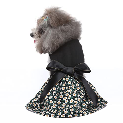 Qcwwy Hundekleid mit Blumenmuster, Haustierkleid Modisches Niedliches Süßes Hundeprinzessinkleid für Party, Hochzeit, Urlaub, Hundekleid, Geburtstag, Abendkleid, Welpen-Partykleid, (M) von Qcwwy