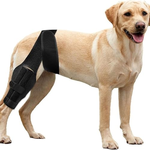 Qcwwy Hundekniestütze Klammer, Weiche Hundegelenk -Stütze Wrap mit Verstellbarem Riemen Atmungsaktivem Leichtes Verschleiß Hoher Elastischer Haustier Hinterbein -Stütze Anti -Licking (L) von Qcwwy