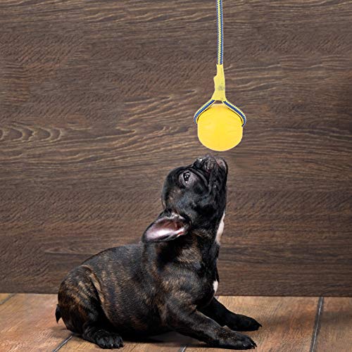 Qcwwy Hundespielzeug, Interaktives Kauspielzeug Ball mit Trageseil 6 cm Tragbares Eva-Haustierhundetraining Bissfest (Gelb) von Qcwwy