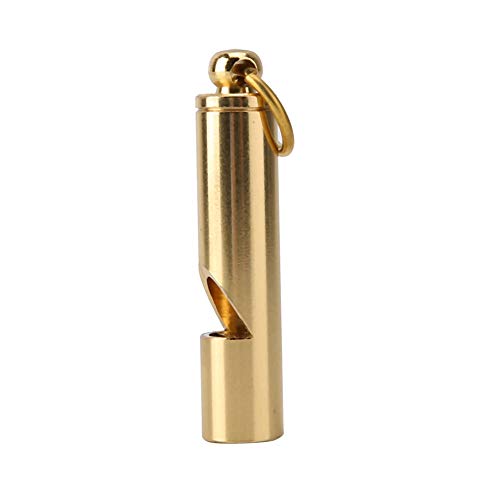 Qcwwy Klarer Pfeifenring für das Training Lauter Hundevögel aus Aluminiumlegierung, Verhaltenstrainer für Haustiere, Geeignet für Alle Rassen und Vögel, Goldfarben, 5,5 X 0,9 cm Qcwwy Klarer Pfeifenring für das Training Lauter Hundevögel aus Aluminiumlegierung, Verhaltenstrainer für Haustiere, Geeignet für Alle Rassen und Vögel, Goldfarben, 5,5 X 0,9 cm von Qcwwy