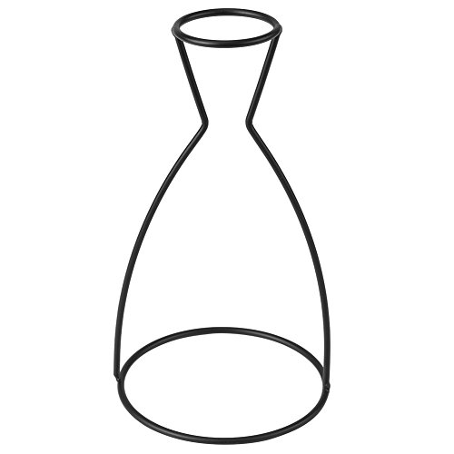 Qcwwy Kreativer Schwarzer Metallblumen -Vase -Rahmen, Leichter Eisenpflanzhalter mit 5,5 cm Top Ring für Glasflaschen Basis Im Innen des Innenraums Im Freien Cafe Cafe Home Decor für (A) von Qcwwy