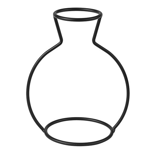 Qcwwy Kreativer Schwarzer Metallblumen -Vase -Rahmen, Leichter Eisenpflanzhalter mit 5,5 cm Top Ring für Glasflaschen Basis Im Innen des Innenraums Im Freien Cafe Cafe Home Decor für (D) von Qcwwy