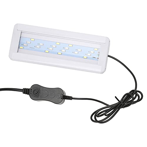 Qcwwy LED-Aquariumleuchte, Leichte Aquariumleuchte, 3 W, Stabiles Licht, Lichthalterung, Einziehbare Wärmeableitung für Ornamente (EU-Stecker 220 V) von Qcwwy