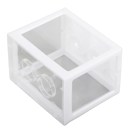 Qcwwy Mini Aquarium Small Betta Fish Aquarium mit Abnehmbarem Deckel, Transparent (White) von Qcwwy