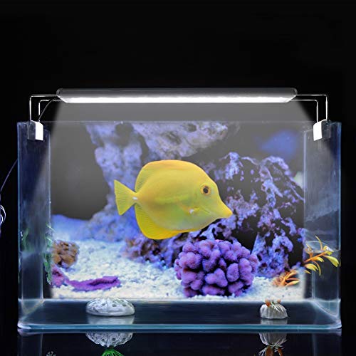 Qcwwy Mini - auf Fischtank Kleines Aquariumlicht, auf Aquarium Mini LED LED LEGELTABELES Fish -Tanklampe Fischtankleuchte für Pflanzenwachstum Qcwwy Mini - auf Fischtank Kleines Aquariumlicht, auf Aquarium Mini LED LED LEGELTABELES Fish -Tanklampe Fischtankleuchte für Pflanzenwachstum von Qcwwy