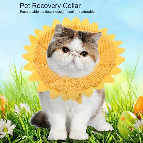 Qcwwy Mode Pet Protection Collar Leichtes Bequemes Hund Welpe Wundheilung Sicherheit für Medizinische Inspektionen Schönheitsbehandlung (Nr. 4 Halsumfang 26-29 cm) von Qcwwy