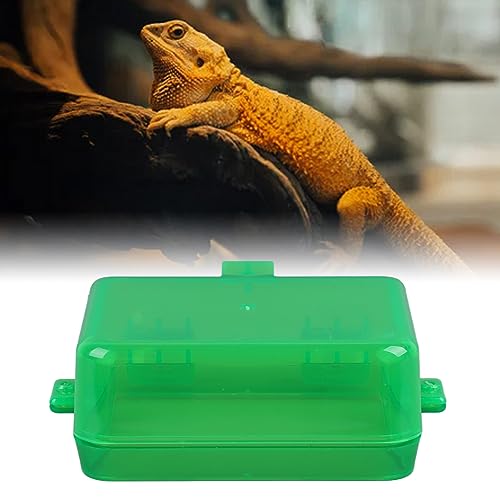 Qcwwy Reptilien-Futternapf, Chamäleon-Schüssel, Anti-Flucht-Futternapf mit Saugnapf, Amphibien-Futternapf, Futter-Wassernapf, Durchscheinendes Futterbecken für Eidechse, Schlange, von Qcwwy