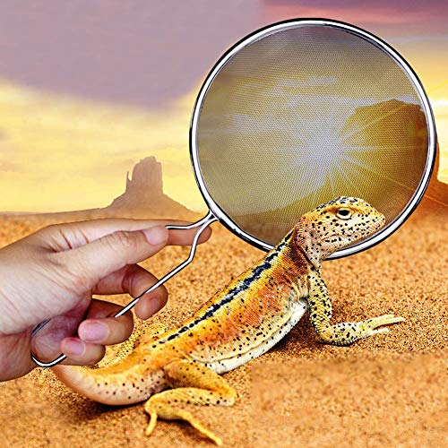 Qcwwy Reptilienzuchtwerkzeuge, Reptilien-Brutzubehör, Feinmaschiger Reptilien-Sandschaufel aus Edelstahl, Streureiniger, Eckschaufel, Reptiliensandschaufel für Sandstreu, Reptiliensand Qcwwy Reptilienzuchtwerkzeuge, Reptilien-Brutzubehör, Feinmaschiger Reptilien-Sandschaufel aus Edelstahl, Streureiniger, Eckschaufel, Reptiliensandschaufel für Sandstreu, Reptiliensand von Qcwwy