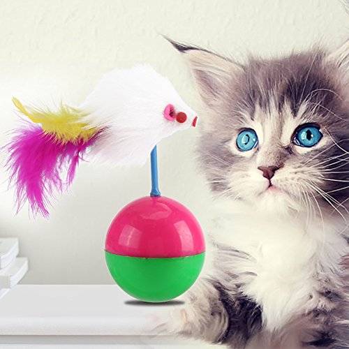 Qcwwy Spielzeug-Teaser, bunter Federball, lustiges Spielspiel für Haustiere, Kätzchen, Katzen, intelligentes Spielzeug, interaktives Katzenspielzeug für drinnen, neckendes Spielzeug, Teaser, bunter von Qcwwy