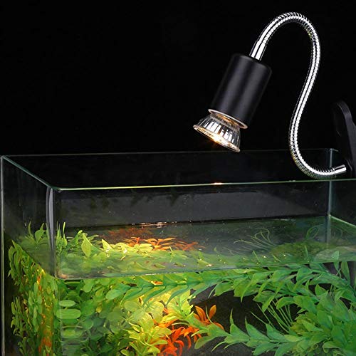 Qcwwy Substrat, Halter 360 Grad Drehbare Temperatur Schildkröte Eidechse Fisch Reptilien-Wärmelampen Basis für Reptilien-Reptilienlampenhalter, Rotierende Reptilienlampe (EU-Stecker von Qcwwy