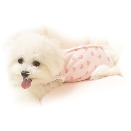 Qcwwy Teacup-Hundekleidung, Kleines Hunde-Outfit für Frühling und Herbst, Bauchschutz, Verhindert Erkältung, Heimunterwäsche (Kleines rotes Herz S) von Qcwwy