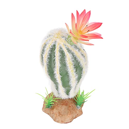 Qcwwy Terrarium-Pflanzendekoration, Aquarium-Dekorationen, Treppen, Kunstharz, Aquarium-Ornament, Kaktusform, Aquarium-Ornament, Einfache Installation, Geeignet FüR die Heimdekoration Qcwwy Terrarium-Pflanzendekoration, Aquarium-Dekorationen, Treppen, Kunstharz, Aquarium-Ornament, Kaktusform, Aquarium-Ornament, Einfache Installation, Geeignet FüR die Heimdekoration von Qcwwy