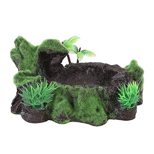 Reptilienzucht-Werkzeuge, Reptilien-Brutzubehör, Schildkrötenfutter, Wasser-Feeder, Harzornament für Kleine Reptilien, Reptilien-Futternapf, Reptilienzucht-Werkzeuge, Reptilien-Brutzubehör, Schildkrötenfutter, Wasser-Feeder, Harzornament für Kleine Reptilien, Reptilien-Futternapf, von Qcwwy