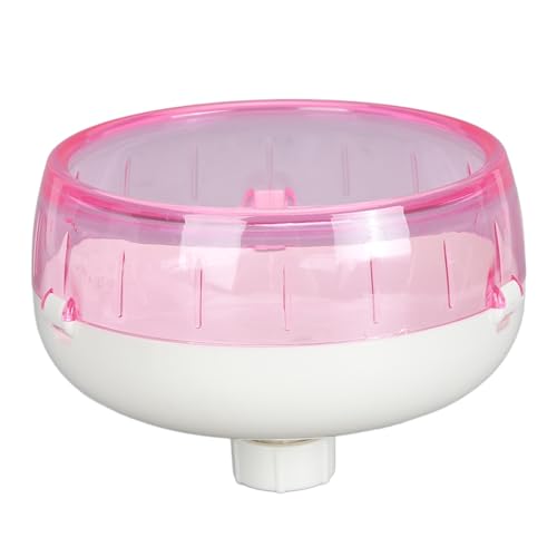 Spielzeug für Kleine Haustiere, Leises Laufrad, Leises Laufrad, Hamsterrad für Kleine Haustiere, Spielzeit, Hamsterkäfig-Zubehör, Hamster-Übungsrad, Spielzeug für Kleine Haustiere, Leises Laufrad, Leises Laufrad, Hamsterrad für Kleine Haustiere, Spielzeit, Hamsterkäfig-Zubehör, Hamster-Übungsrad, von Qcwwy
