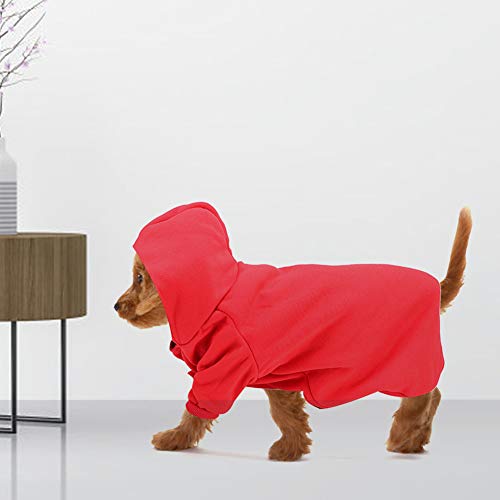 Sweatshirt für Kätzchen, für und Winter, für Hunde, Französische Bulldogge, Mops, Katze, hält warm, Pullover, Hunde-Kapuzenpullover, schlicht, einfarbig, Größe XL Sweatshirt für Kätzchen, für und Winter, für Hunde, Französische Bulldogge, Mops, Katze, hält warm, Pullover, Hunde-Kapuzenpullover, schlicht, einfarbig, Größe XL von Qcwwy