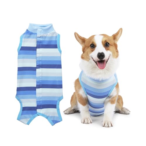 Universal Hund Overall, Dehnbar und Bequem, Elastisch und Verstellbar, Top Qualität Modal, Postoping Kleidung für Kleine Hunde mit (Farbband Universal Hund Overall, Dehnbar und Bequem, Elastisch und Verstellbar, Top Qualität Modal, Postoping Kleidung für Kleine Hunde mit (Farbband von Qcwwy