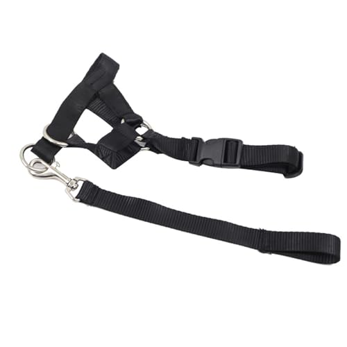 Verstellbares Hundehalsband verhindert Beißen und Bellen, sichere und zuverlässige Kontrolle, Trainingsgerät mit Abschleppseil, für kleine bis große Hunde (XL) von Qcwwy