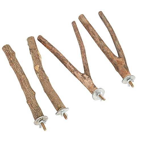 Vogelspielzeug für Papageien, Holz, Übung und Spiel, einfache Installation, mehrere Formen, Set für Kleiderbügel für Vögel, ungiftig von Qcwwy