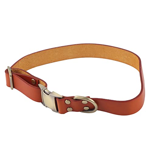 Weich gepolstertes Leder-Hundehalsband, atmungsaktiv, hochwertige Hardware, klare Wildlederfaser, gravierte Schnalle für kleine, mittelgroße und große Katzen und Hunde (Orange) von Qcwwy