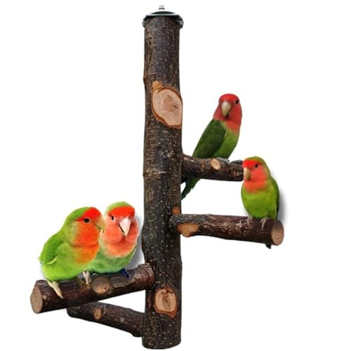 QeeHeng Vogelständer, Naturholz, Papageienstange, Vogelkäfig, Sitzstangen für Papageien, kleine Sittiche, Nymphensittiche, Aras, Papageien, Liebesvögel, Finken QeeHeng Vogelständer, Naturholz, Papageienstange, Vogelkäfig, Sitzstangen für Papageien, kleine Sittiche, Nymphensittiche, Aras, Papageien, Liebesvögel, Finken von QeeHeng