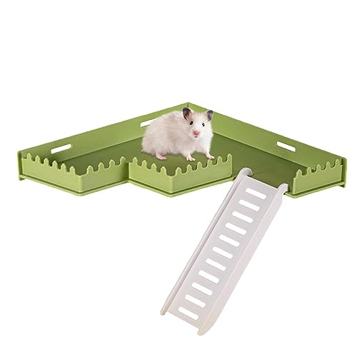 Hamsterplattform mit Leiter | Kletterleiterkäfig-Spielplatz für Hamster,Tierspielzeug für die körperliche und geistige Gesundheit von Rennmäusen, Hamstern, Streifenhörnchen, Igeln und Qeepucak von Qeepucak