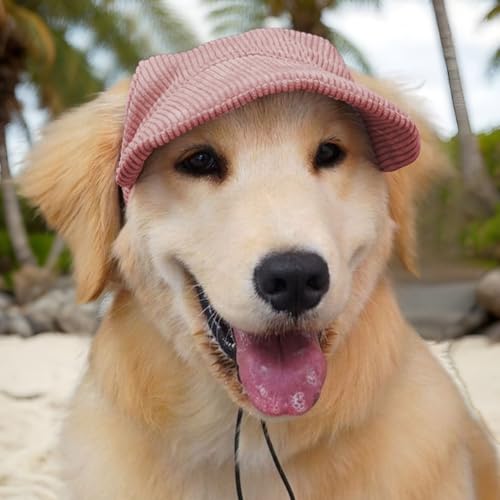 Qfdiwr Hund Baseball Cap | Hund Sonnenhut,Leichtes Strandvisier Mit Ohrenlöchern Für Kleine, Mittelgroße Und Große Hunde – Outdoor Sport, Spazieren, Wandern & Klettern von Qfdiwr