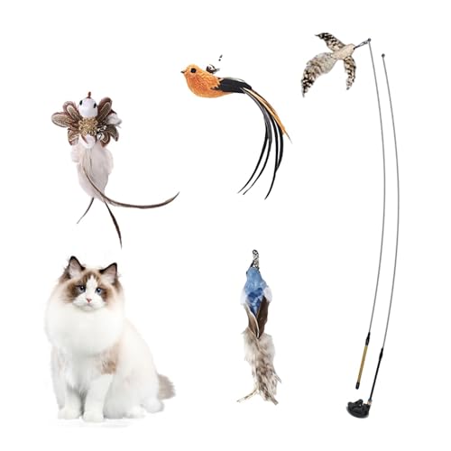 Qfdiwr Interaktives Katzenspielzeug Angel Mit 4 Feder, Katzenangel Stabil Mit Federn, Katzenstäbe Vogel Katzenspielzeug Set,Interaktive Katzenspielzeug Set,Katzen Feder Spielzeug Mit Starkem Saugnapf Qfdiwr Interaktives Katzenspielzeug Angel Mit 4 Feder, Katzenangel Stabil Mit Federn, Katzenstäbe Vogel Katzenspielzeug Set,Interaktive Katzenspielzeug Set,Katzen Feder Spielzeug Mit Starkem Saugnapf von Qfdiwr