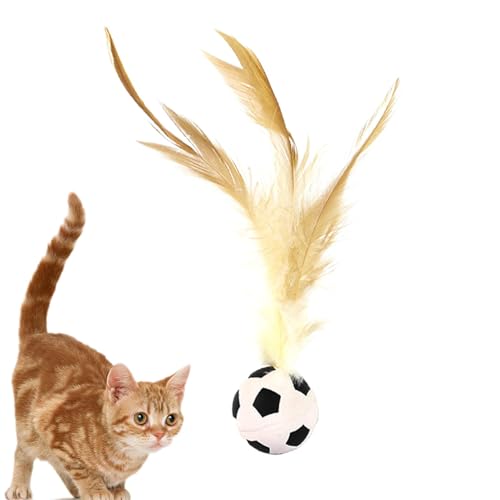 Qfdiwr Katze Bouncy Ball mit Feder, Federkugel Bounce Cat Toy | Bounce Federed Ball Dog Toy | Hunde -Biting -Spiel zur Entlastung von Langeweile Pet Hunting Accessoires von Qfdiwr